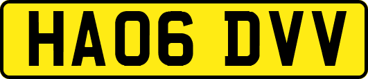 HA06DVV