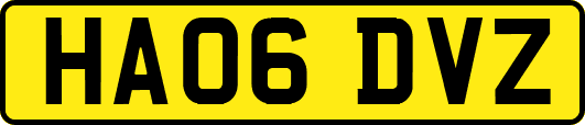 HA06DVZ