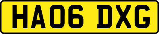 HA06DXG