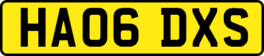 HA06DXS