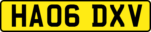 HA06DXV