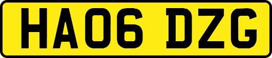 HA06DZG