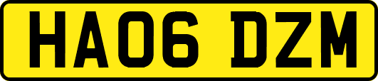 HA06DZM