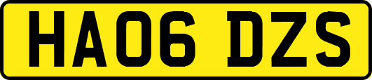 HA06DZS