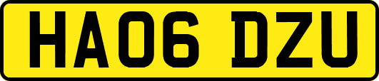HA06DZU