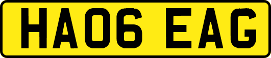 HA06EAG