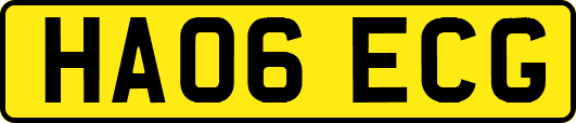 HA06ECG