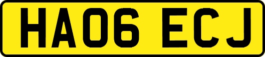 HA06ECJ