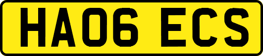 HA06ECS