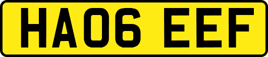 HA06EEF