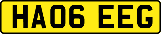 HA06EEG