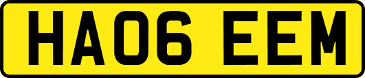 HA06EEM