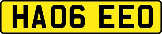 HA06EEO