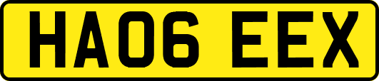 HA06EEX