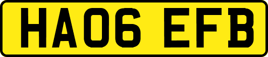 HA06EFB