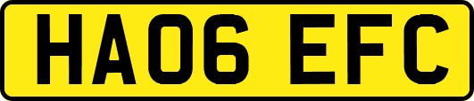 HA06EFC