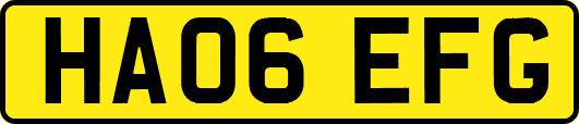 HA06EFG