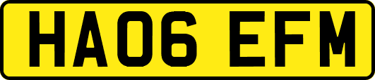 HA06EFM