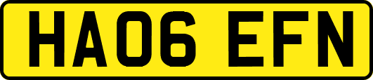 HA06EFN