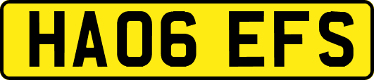 HA06EFS