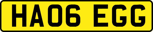 HA06EGG