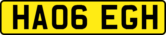 HA06EGH