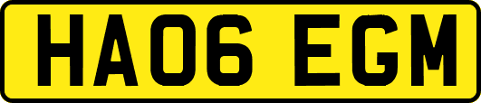 HA06EGM