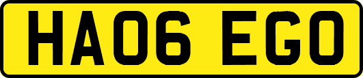 HA06EGO