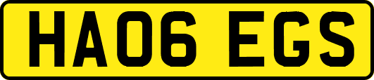 HA06EGS