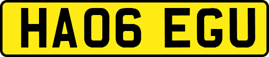 HA06EGU