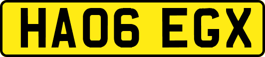HA06EGX