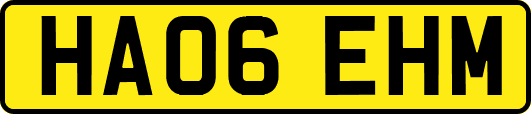 HA06EHM