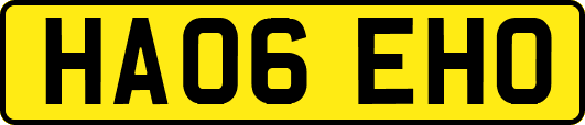HA06EHO