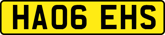 HA06EHS