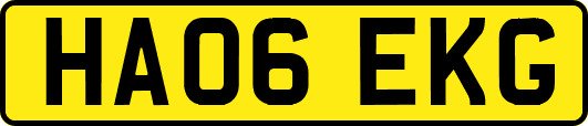 HA06EKG