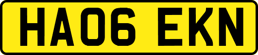 HA06EKN