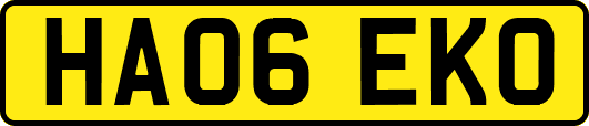 HA06EKO