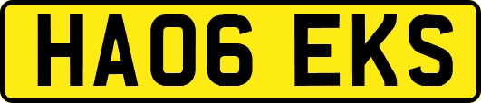 HA06EKS