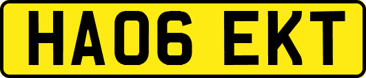 HA06EKT