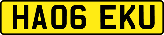 HA06EKU