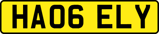 HA06ELY