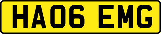 HA06EMG