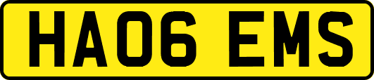 HA06EMS