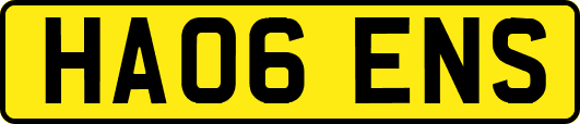 HA06ENS