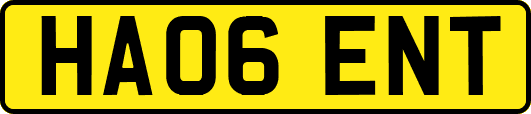 HA06ENT