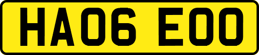 HA06EOO