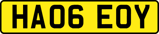 HA06EOY