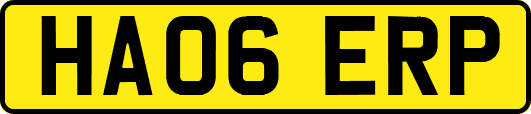 HA06ERP