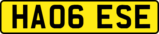 HA06ESE