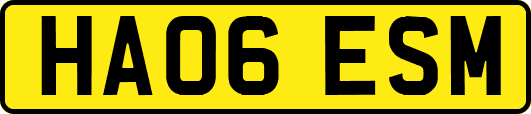 HA06ESM